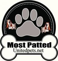 a most patted award